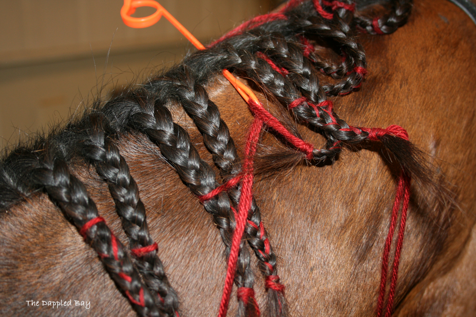 The Dappled Bay Tutorial Scalloped Button Braids