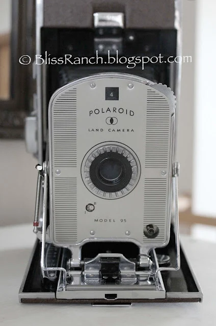 vintage camera