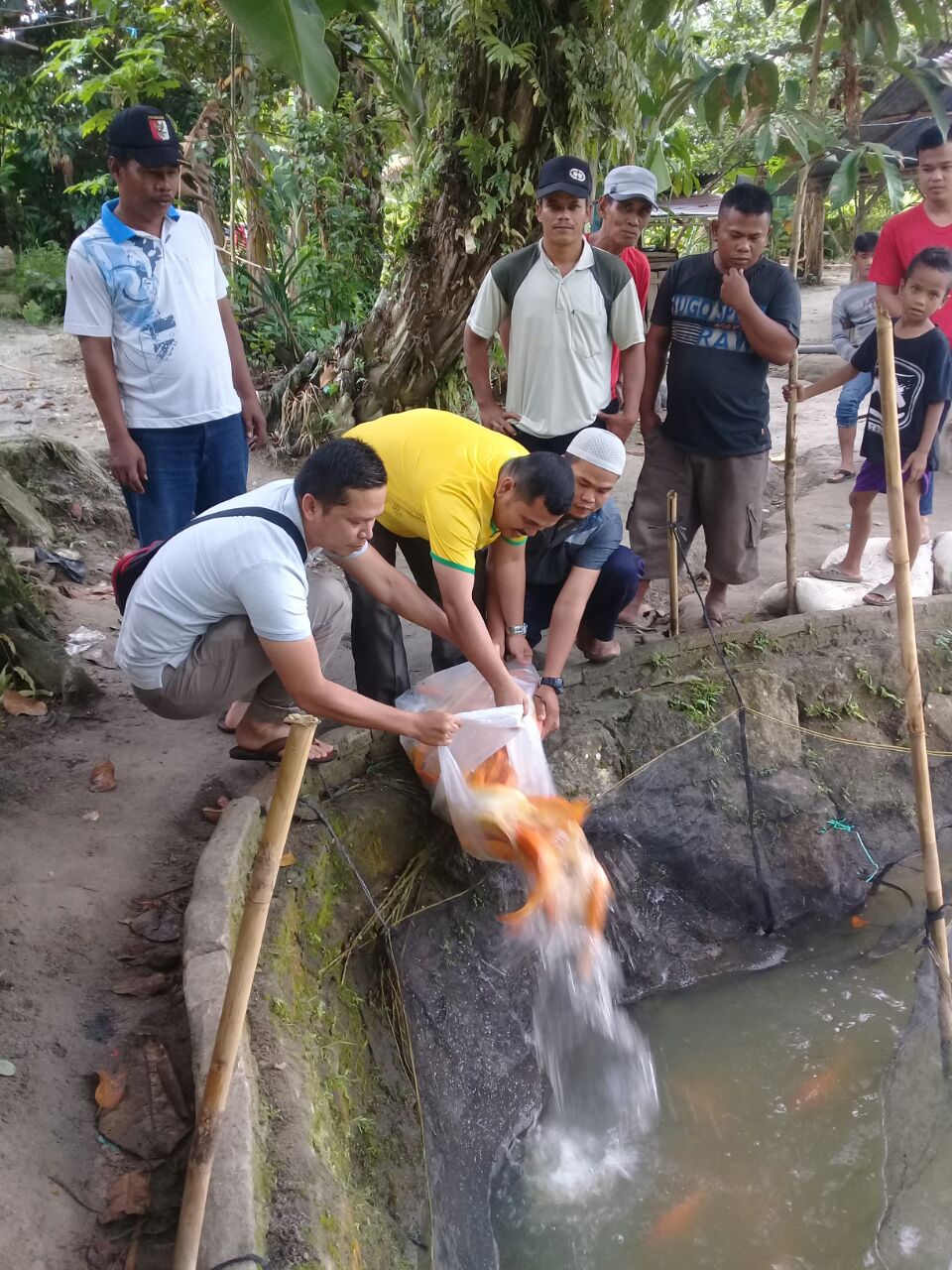 Pelepasan ikan emas di kolam oleh ketua DPD IKP Asahan. Pelepasan ikan emas di kolam oleh ketua DPD IKP Asahan.