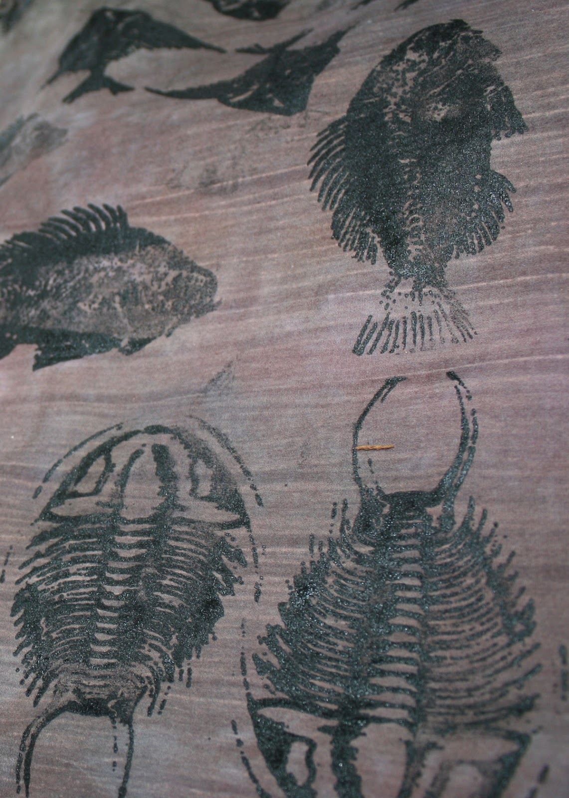 Living and Dyeing Under the Big Sky: Fossil Prints for the Base