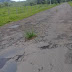 "PLANTARAM" CAPIM NOS BURACOS DA ESTRADA DE CARABUÇU