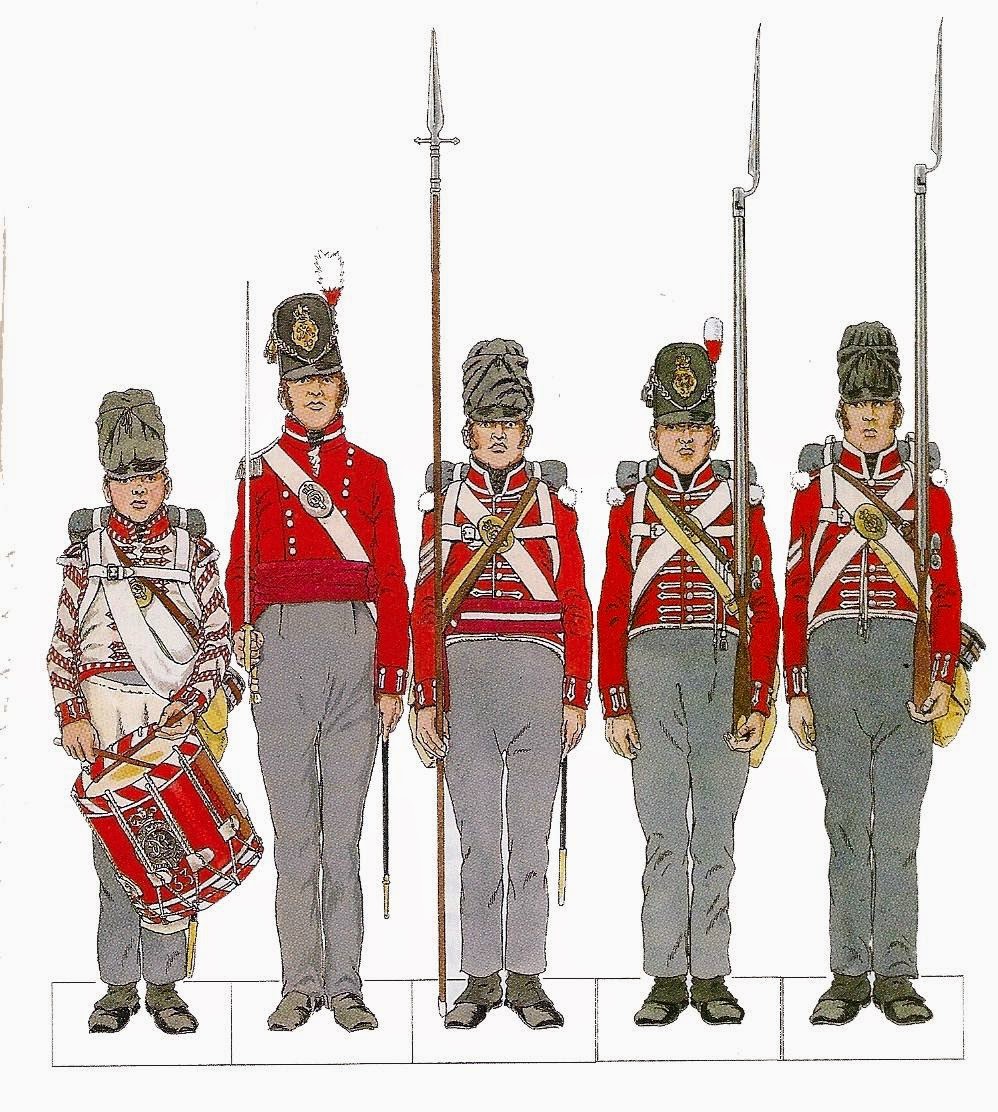 33rd Regiment of Foot (1st York West Riding), 1815. 