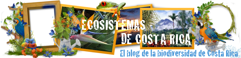 ECOSISTEMAS DE COSTA RICA