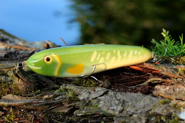 Favolina Und Junior Bilderbuch 999 Froschgeschwister Wachen Auf