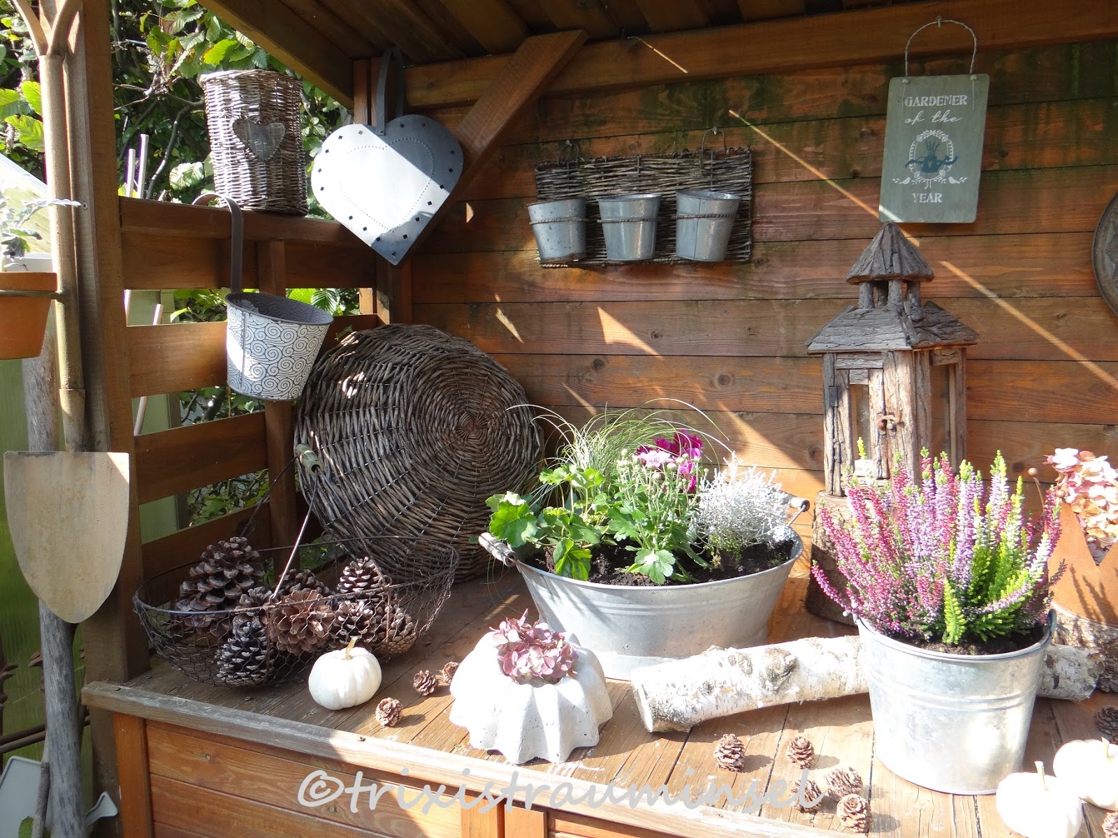 trixistrauminsel Herbstdeko im Garten und Monatscollage