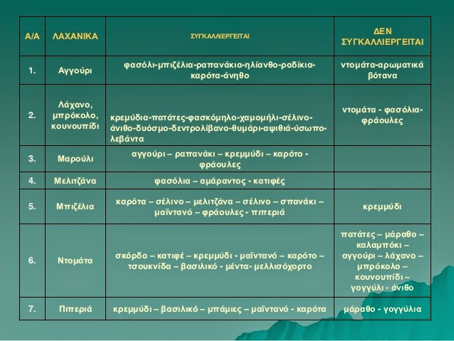 ΣΧΟΛΙΚΟΙ ΛΑΧΑΝΟΚΗΠΟΙ βήματα για την δημιουργία τους