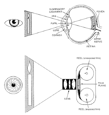 Illustrasi Kamera sebagai Alat Optik Illustrasi Kamera sebagai Alat Optik