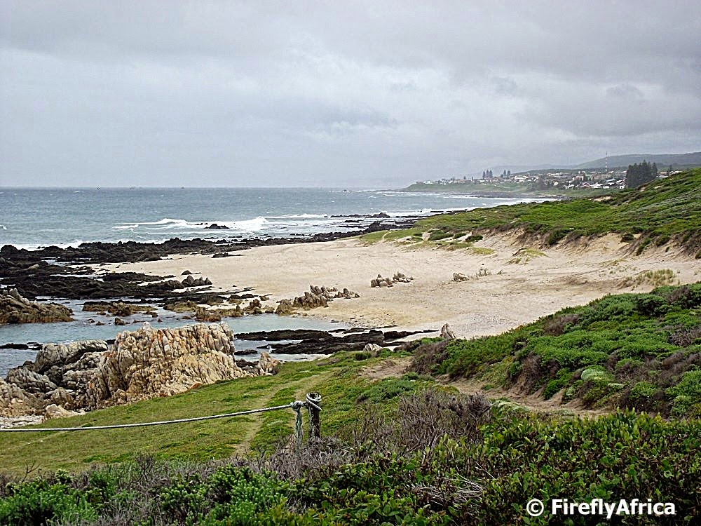 Port Elizabeth Daily Photo Kini Bay seen from Lauries Bay