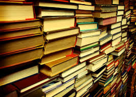 Write Wild: The Only 5 Plot Points You Need to Begin Your Novel