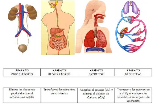 nutricion