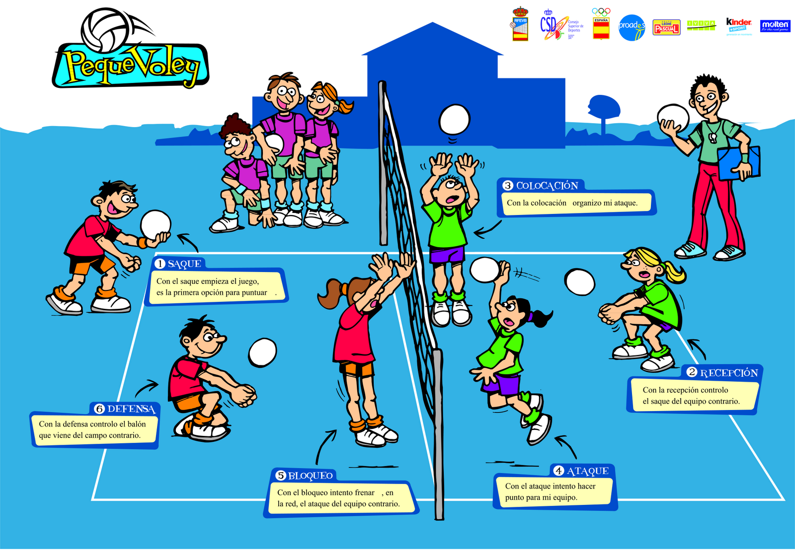 cooperar Familiarizarse Tipo delantero Vóleibol: Sistemas de juego