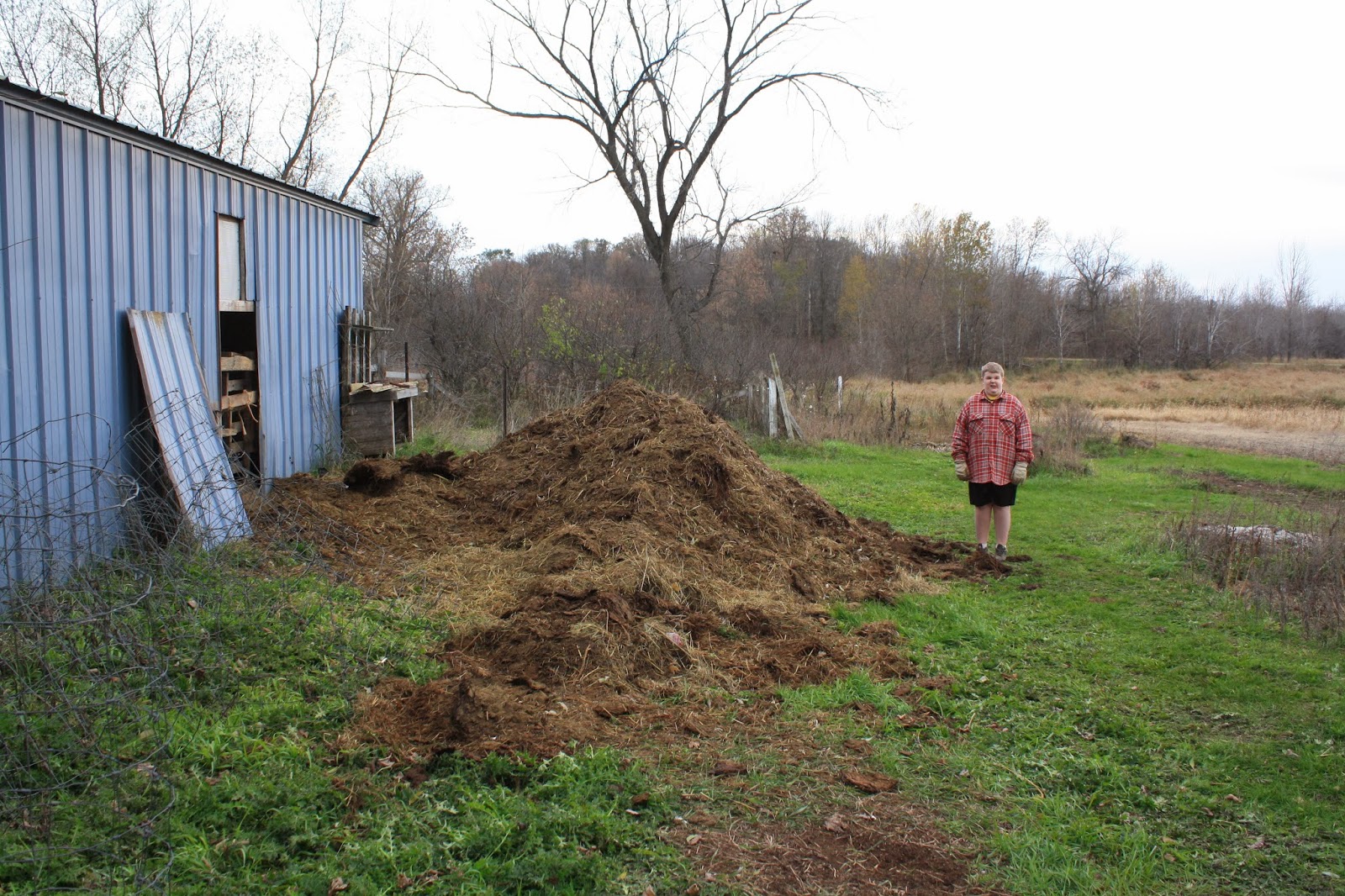 Once Upon a Family Barn Cleaning