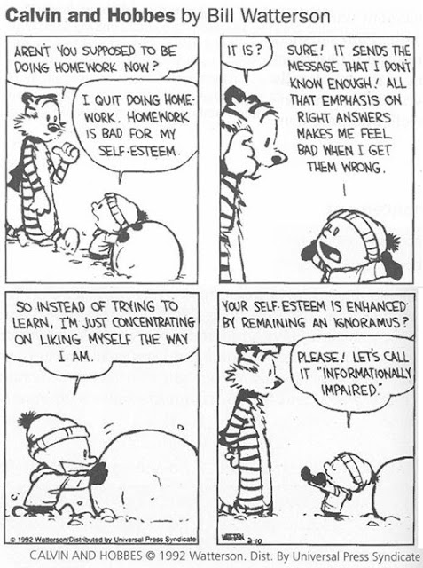 Calvin and hobbes full book picture