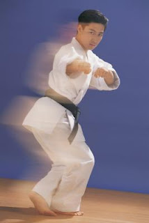 Kung Fu Pugilism Techniques