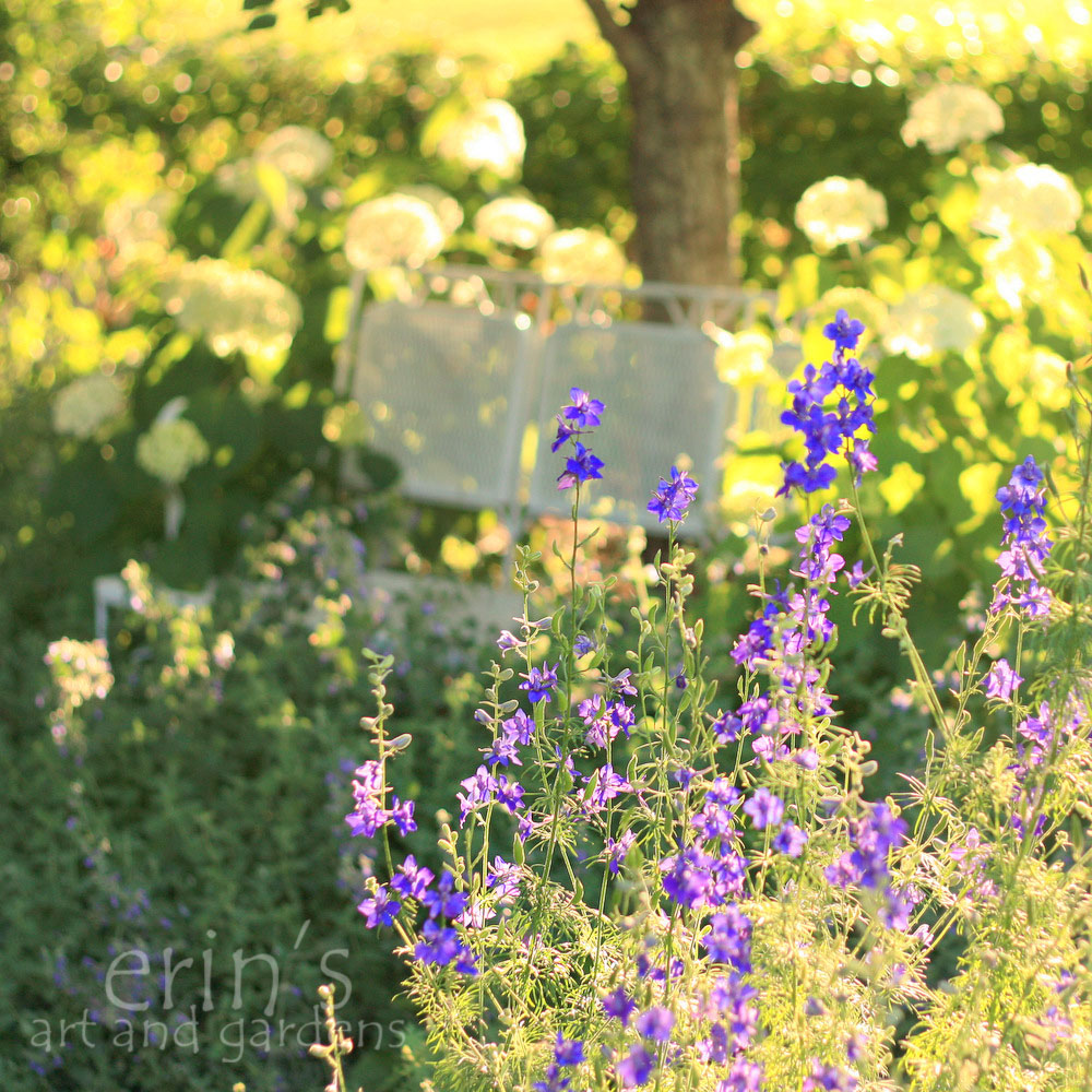 erin's art and gardens light through the larkspur