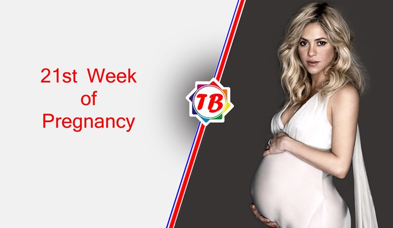 21st Week of Pregnancy