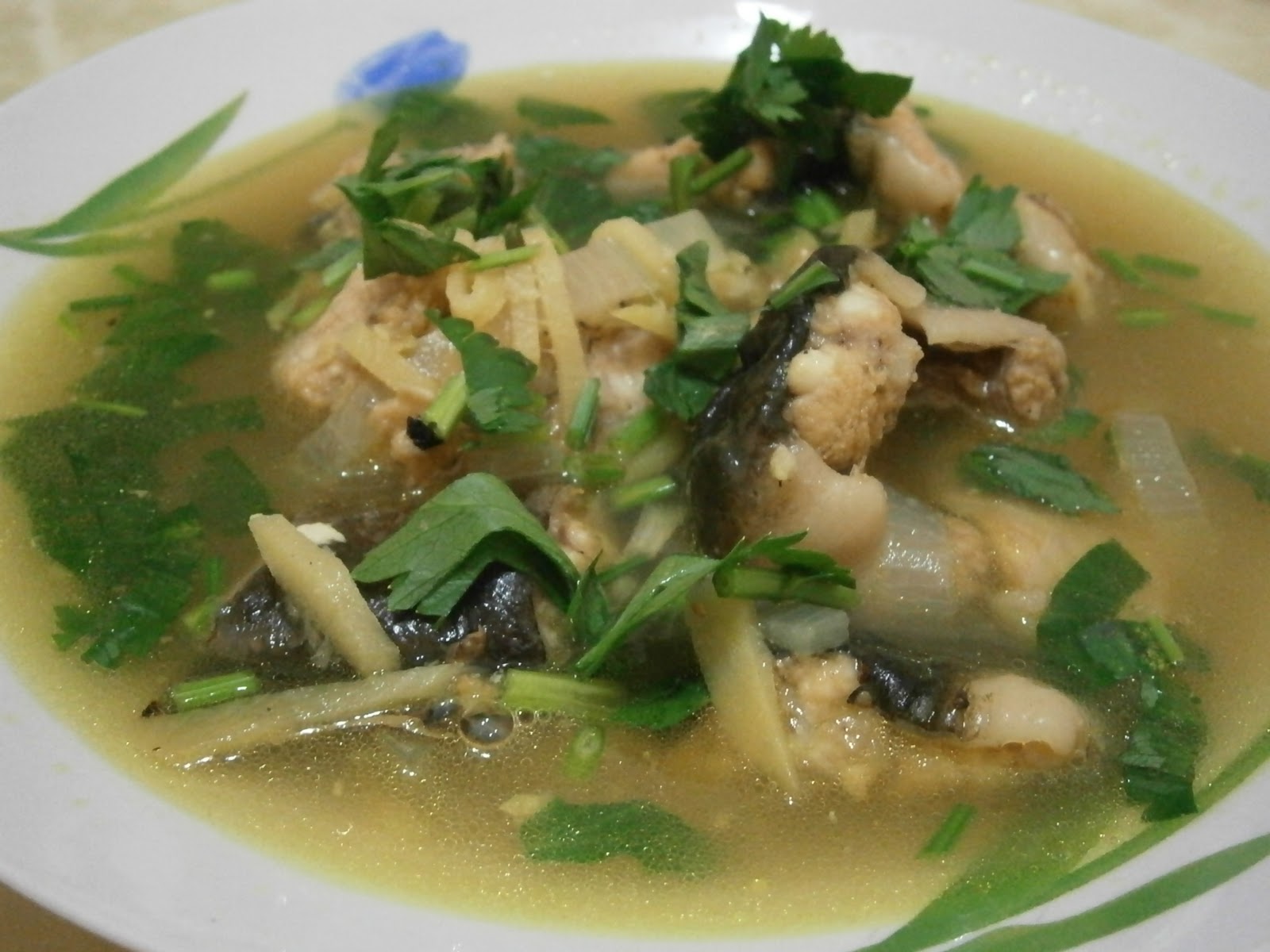 Eel soup full video