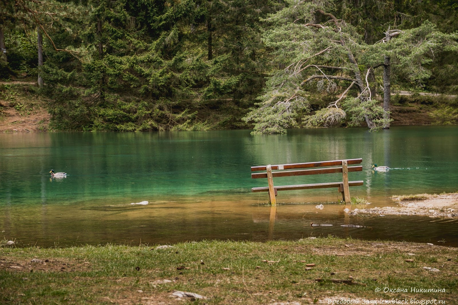 Озеро грюнер зее в австрии