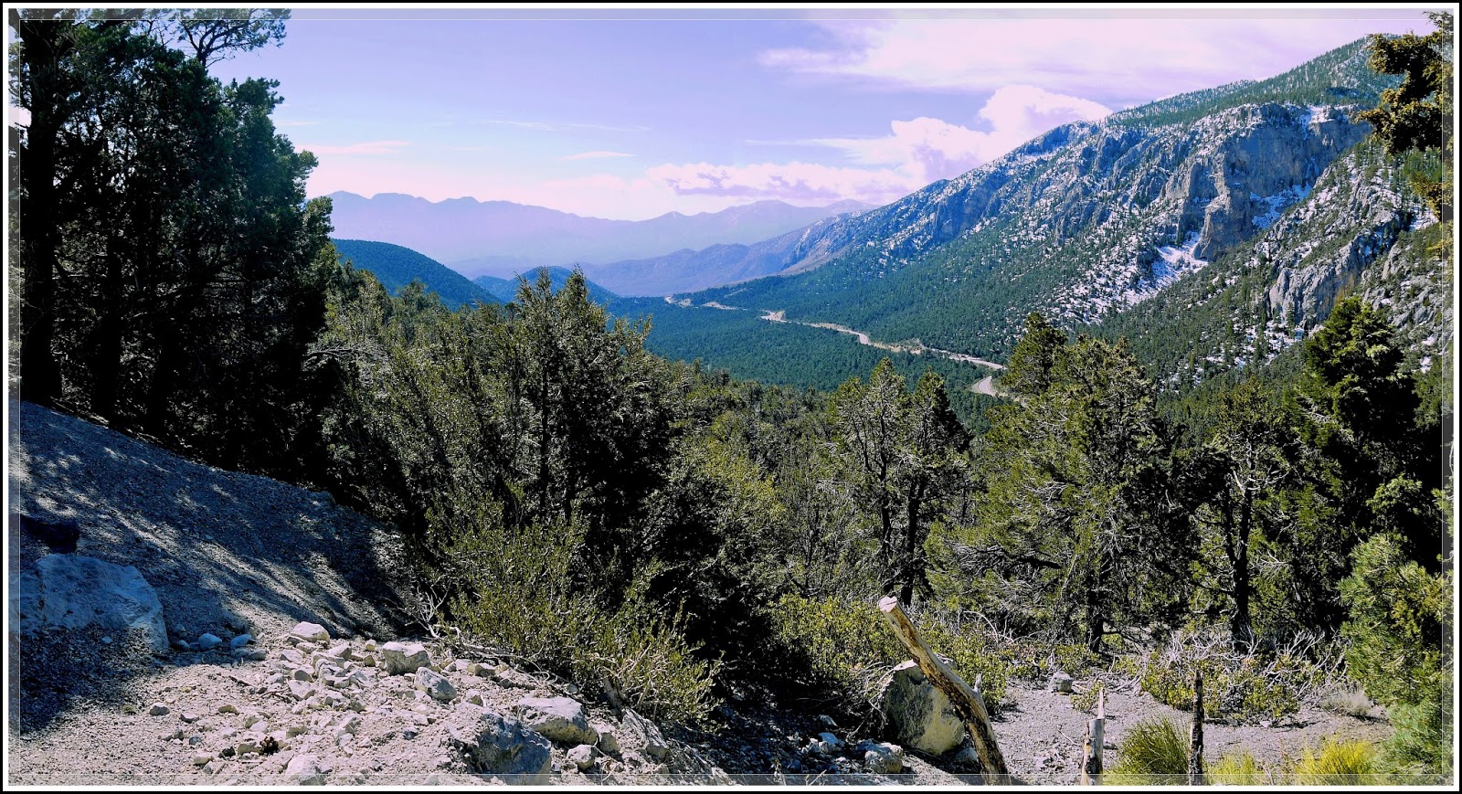 Ken's Photo Gallery Mt. Charleston Wilderness Area Summary Page