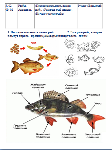 Биология проверочная работа по теме рыбы
