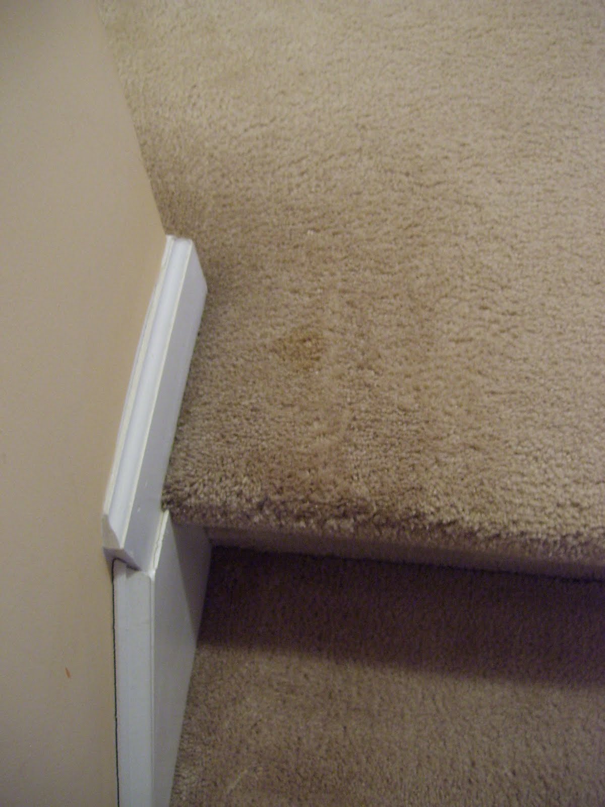 The Everyday Organic Does ZEROREZ® Work?