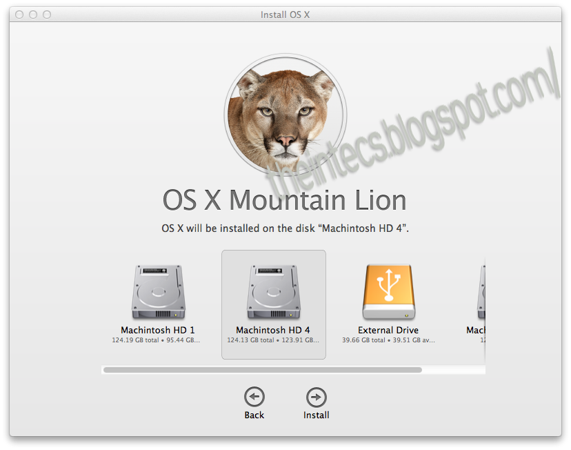 mountain lion disk