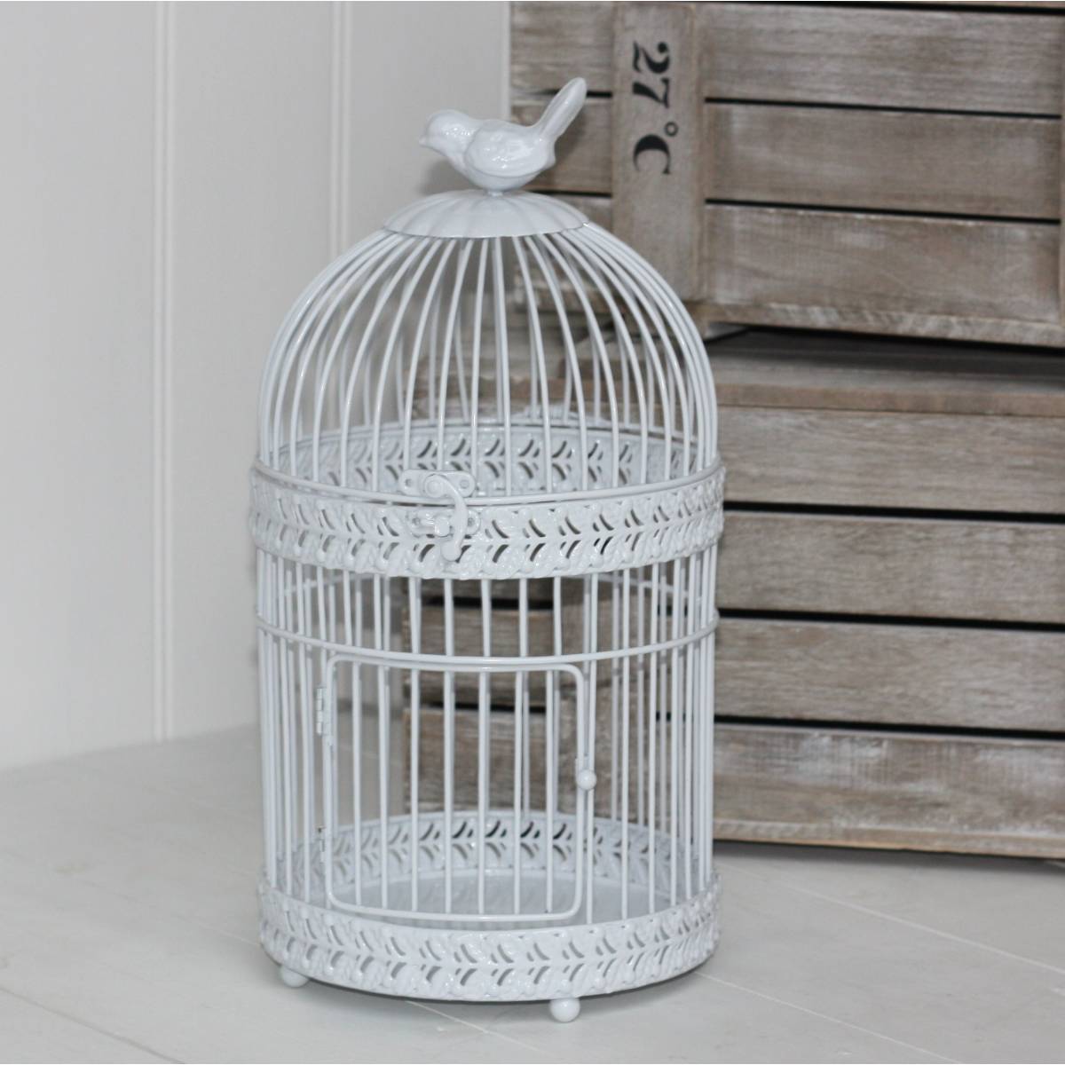 Bird In Everything Bird Cage Design Ideas