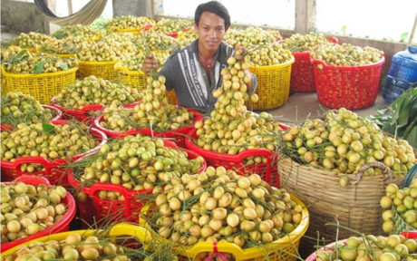 Nhung vuon dau bon bon triu qua 'hai ra tien' - Anh 2