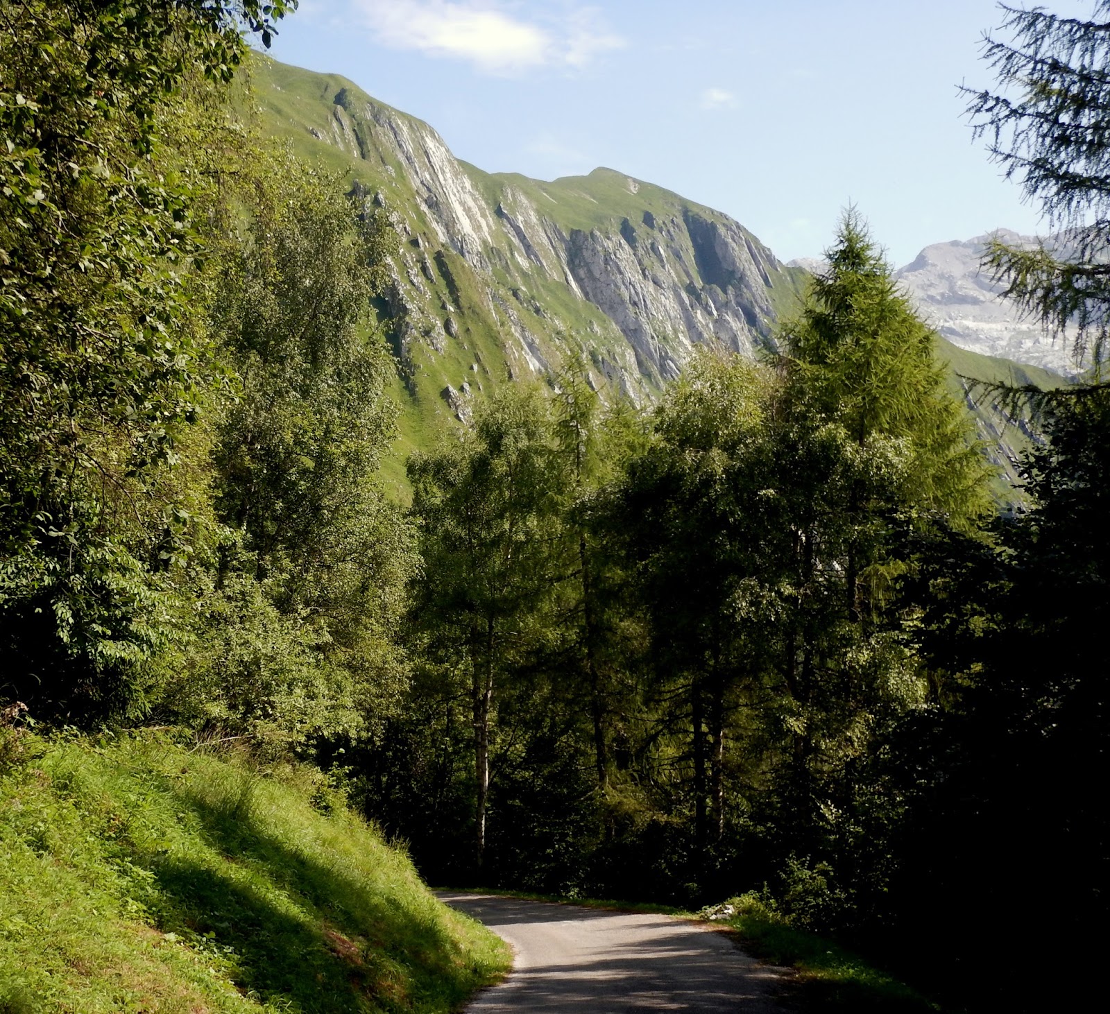 Cycling Dolomiti Friulane Monte Dolada