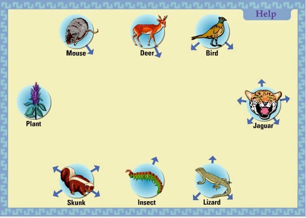 Teaching the Kid: Food Web Online Activity