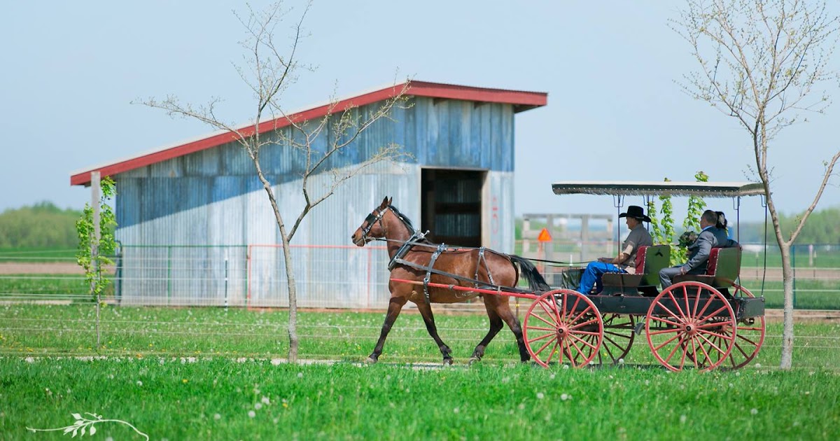 Weddings at Mulberry Lane Farm Ceremony