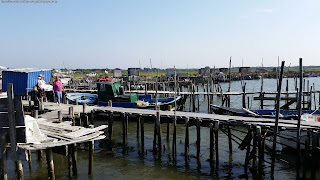 PLACES / Porto Palafita, Carrasqueira, Portugal