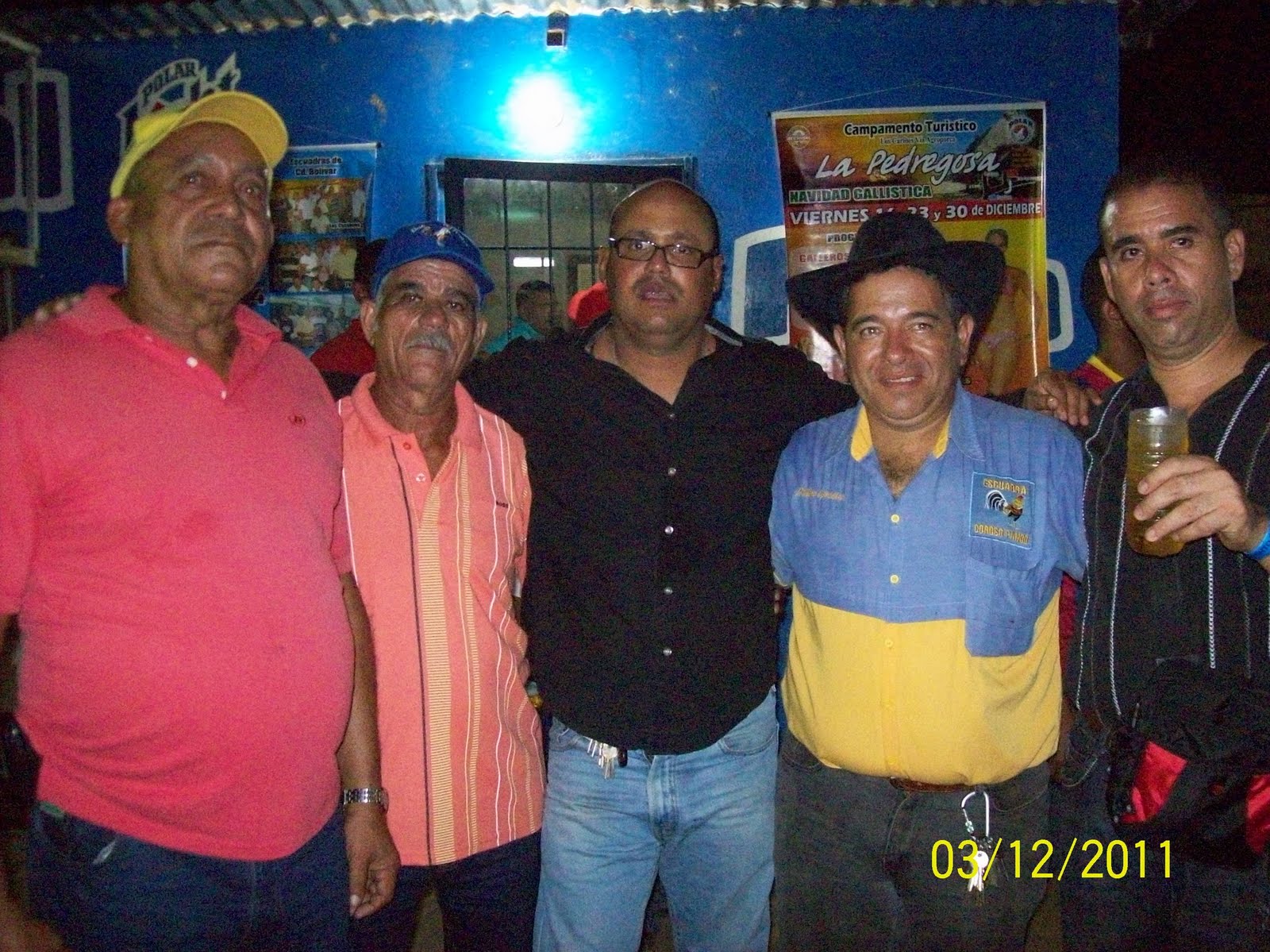 Gallos 