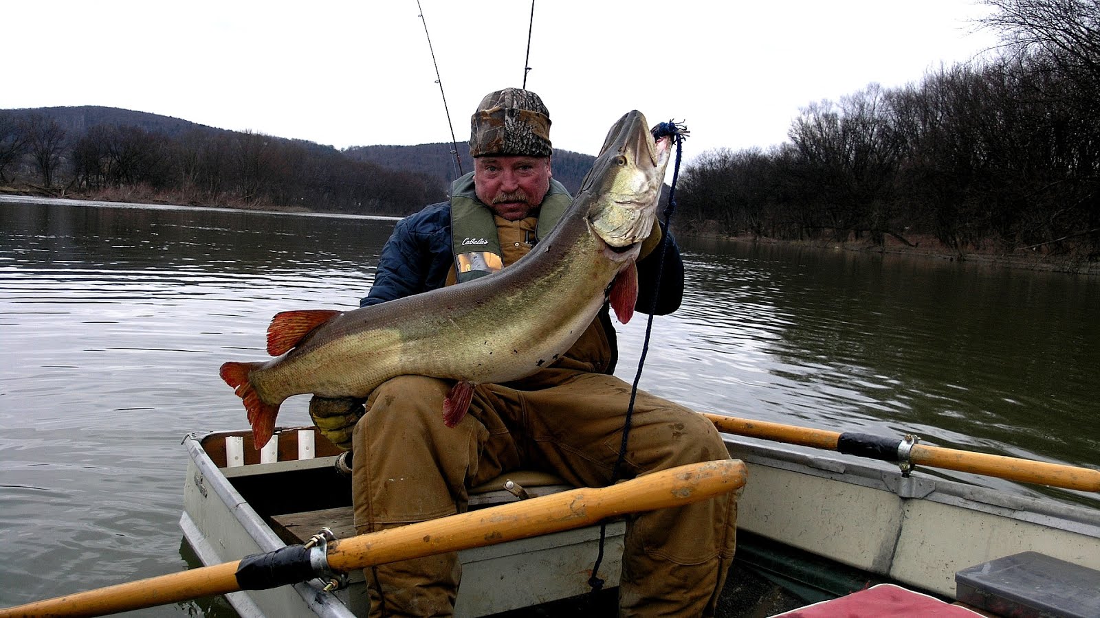 Fishing Creek (North Branch Susquehanna River) Fish Choices