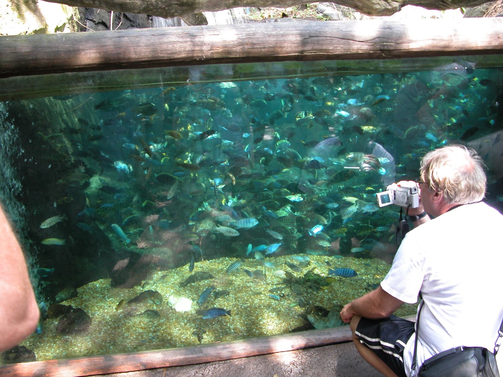 Zoo and Aquarium Design Outdoor aquarium tanks