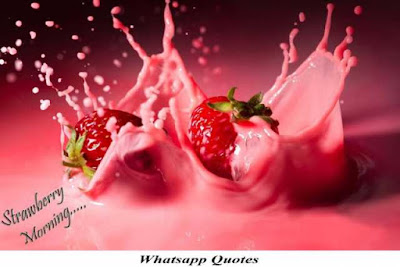 gud-mrng-images good-morning-flowers-images