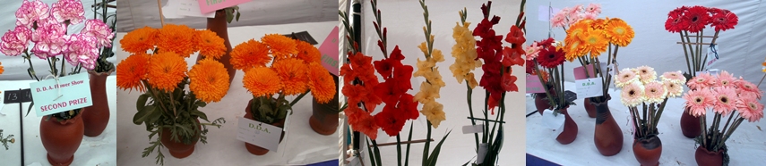 Dwarka Parichay News - Info Services: GARDEN FESTIVAL AND FLOWER SHOW