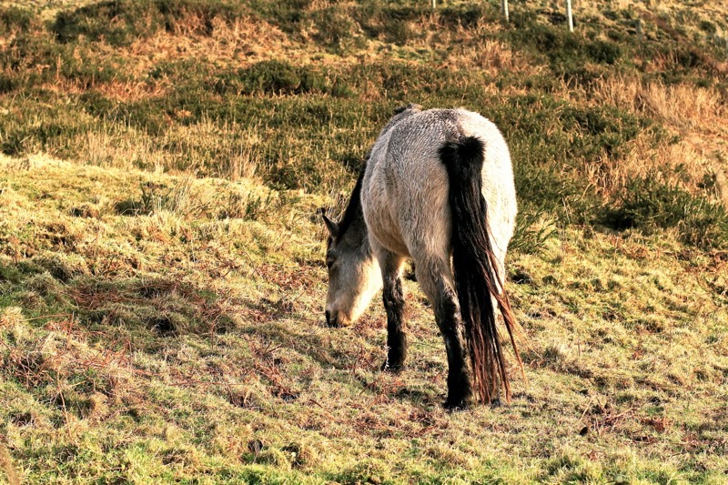 BLOG MODE HOMME PREPPY CONSEIL STYLE PARIS ELEGANCE TENDANCE