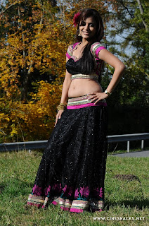 nisha agarwal navel show saree