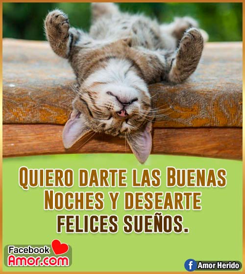 imágenes lindas de buenas noches imágenes lindas de buenas noches