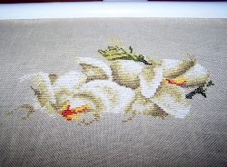 sweet cecilia red bird flies 12