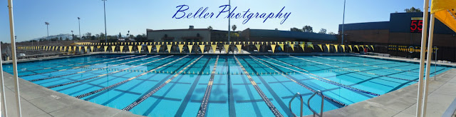 This image has an empty alt attribute; its file name is beller+pool+final%5B1%5D.jpg