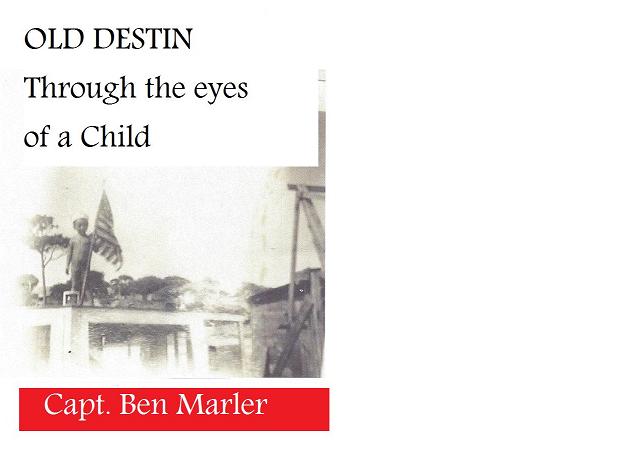 OLD DESTIN Through the Eyes of A Child, the book