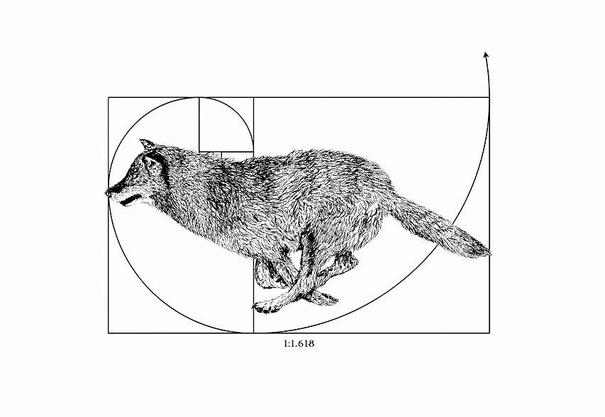 goldenratio 1618 porn goldenratio 1618 porn