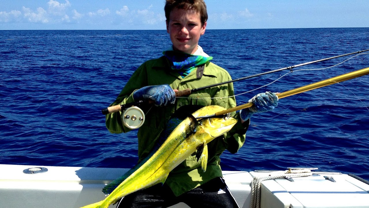 Mahi Mahi Fishing Charters Fish Choices