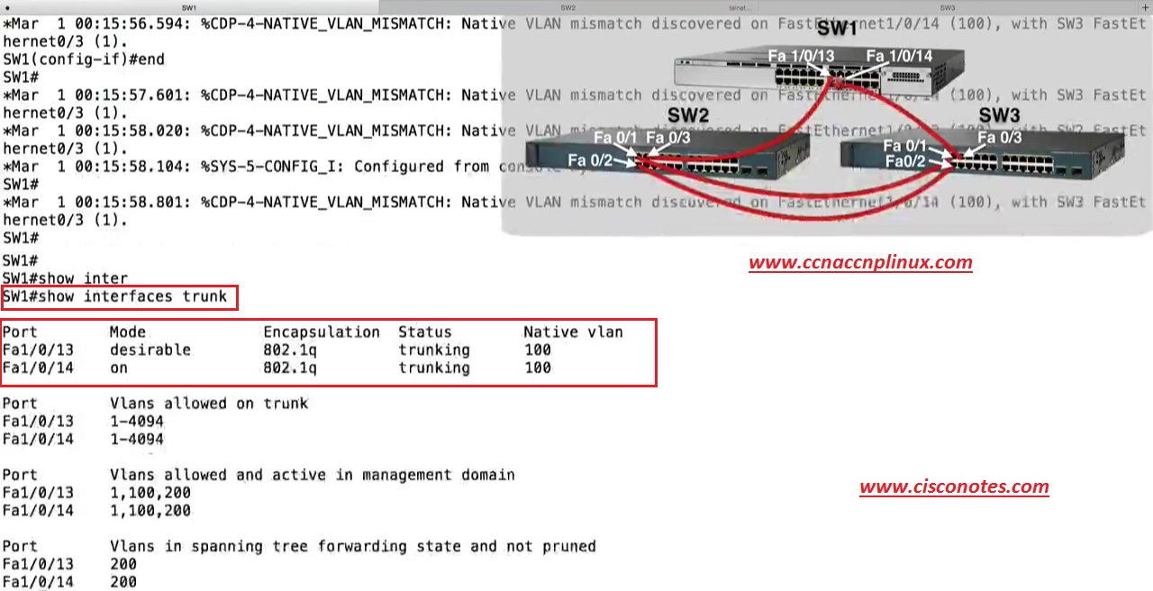 Trunking & Pruning Configuration Best Cisco CCNA CCNP and Linux/CentOS PDF Notes