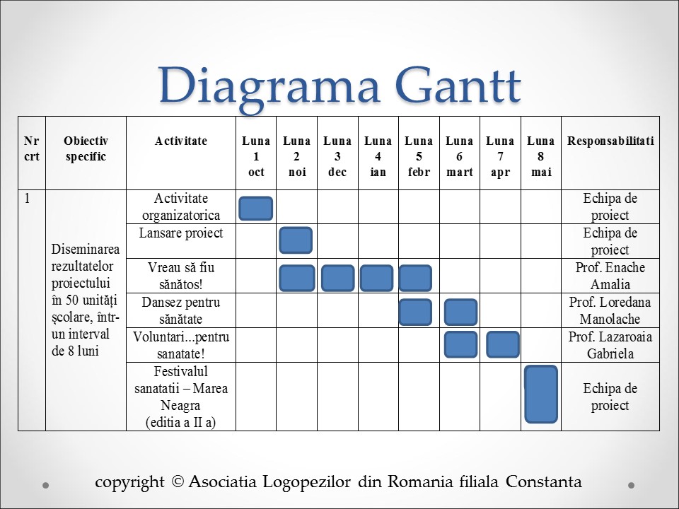 Diagrama Gantt Proiect Educational