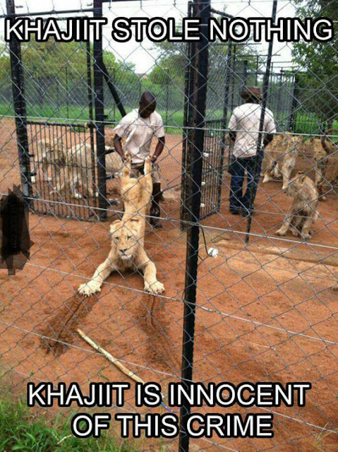 funny-lion-cage-Khajiit.jpg