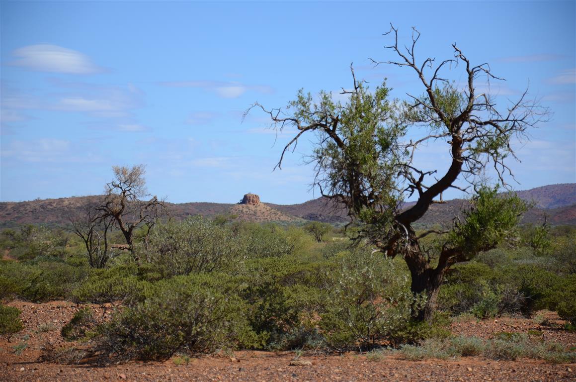 Australien 2013 Mt. AugustusTom Price