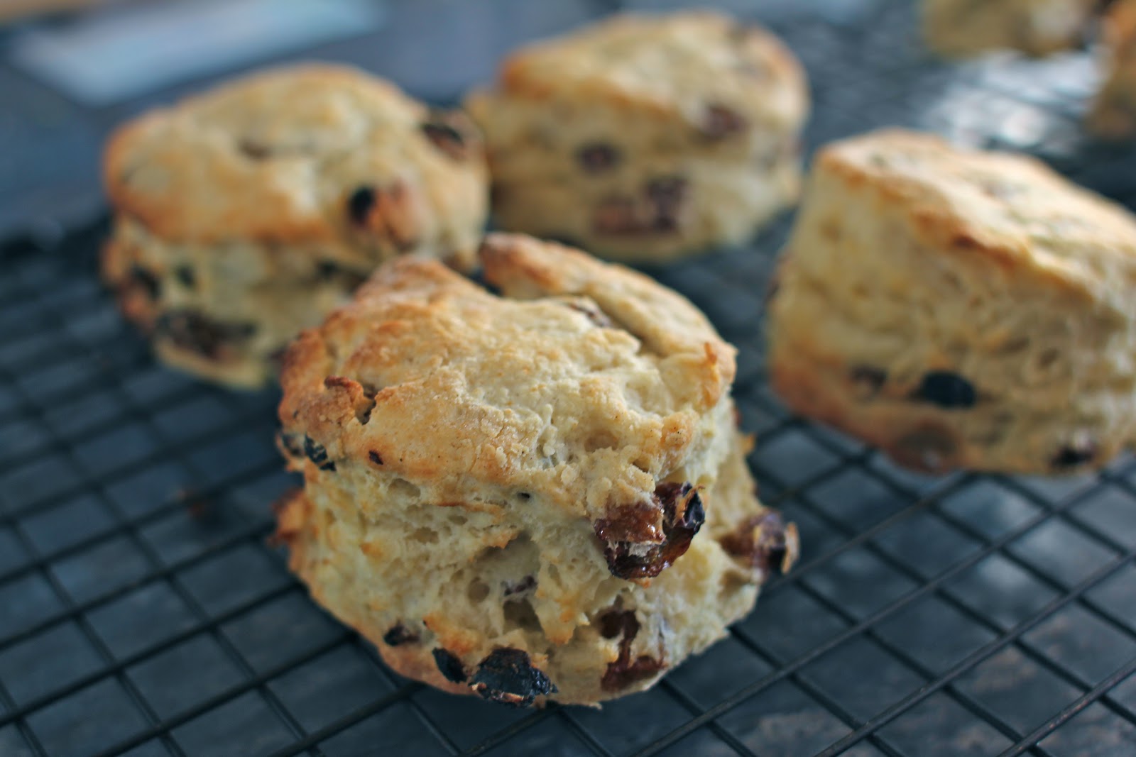mamacook No added sugar scones for babies and toddlers (and grown ups)